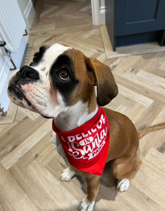 Christmas Pet Bandana - One Size - Choose Design