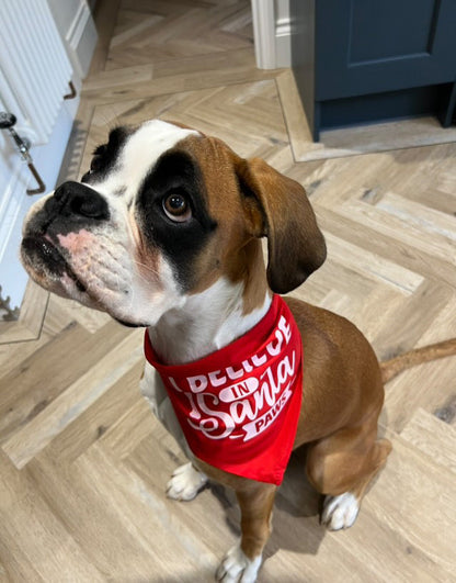 Christmas Pet Bandana - One Size - Choose Design