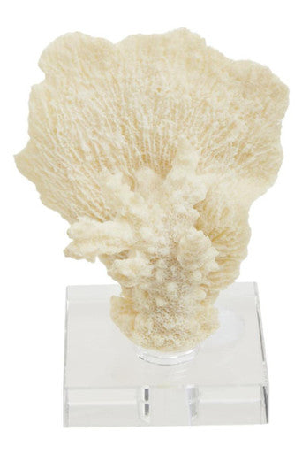 Boho Small White Coral