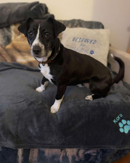 Embroidered Personalised Pet Blankets