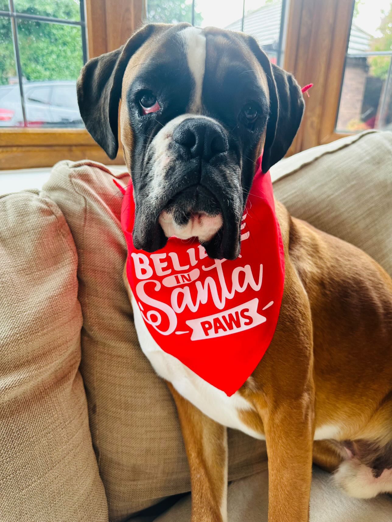 Christmas Pet Bandana - One Size - Choose Design