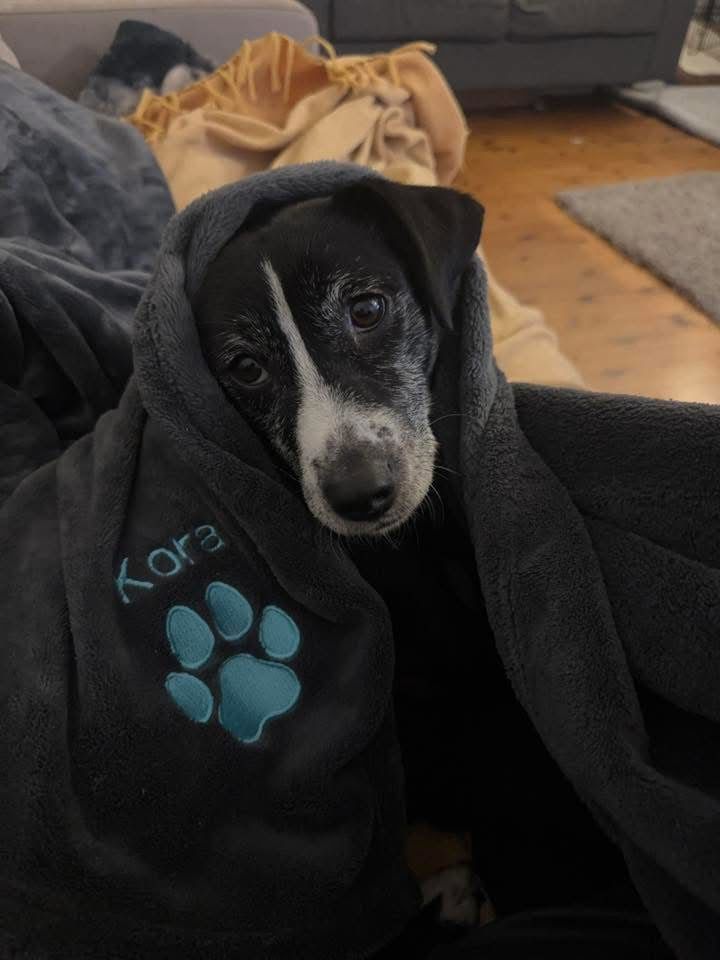 Embroidered Personalised Pet Blankets