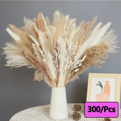 300pcs Rabbit Tail Grass Flower Bouquet