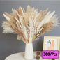 300pcs Rabbit Tail Grass Flower Bouquet