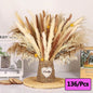 300pcs Rabbit Tail Grass Flower Bouquet