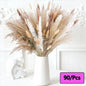 300pcs Rabbit Tail Grass Flower Bouquet